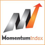 RiseSmart outplacement Momentum Index
